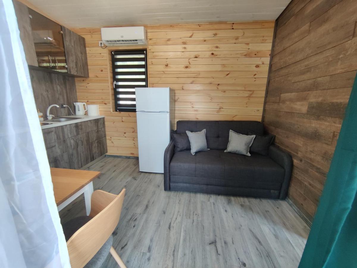Kub Baile Govora Villa Ngoại thất bức ảnh