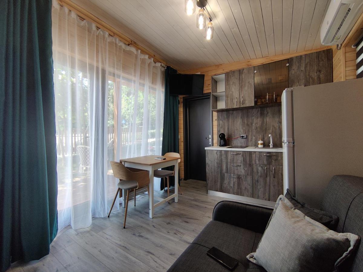 Kub Baile Govora Villa Ngoại thất bức ảnh